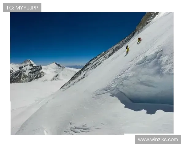 凯时尊龙人生就是搏：从挫折中崛起的坚韧精神与人生智慧